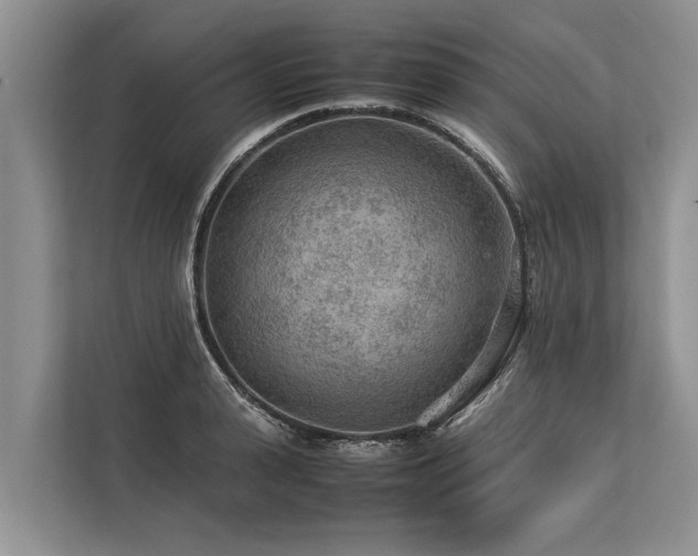 X0000113640943200909181454