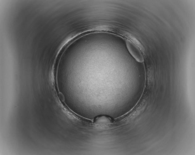 X0000113640944200909181454