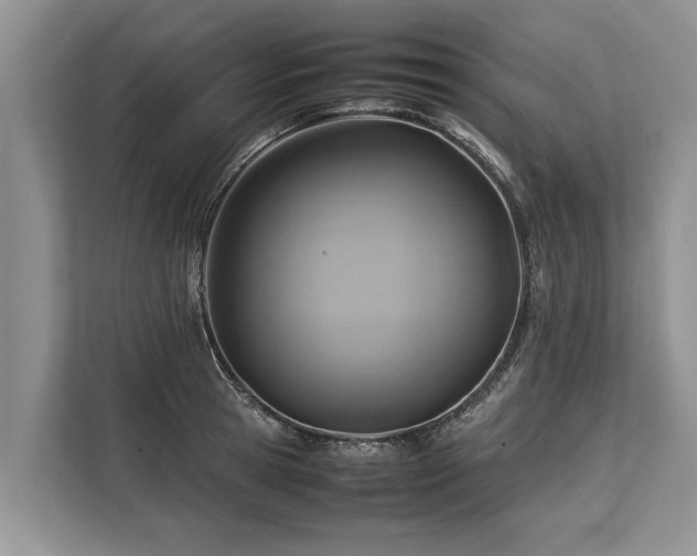 X0000113640945200909181454