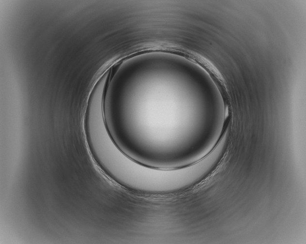 X0000113640946200909181454