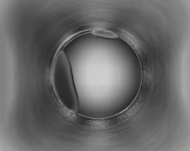 X0000113640948200909181454