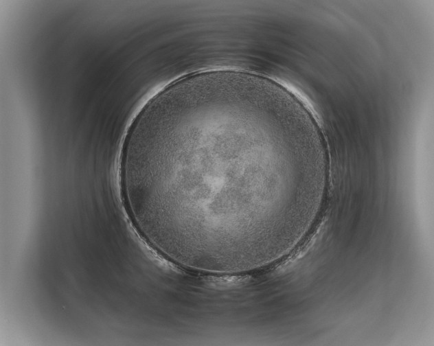 X0000113640949200909181454