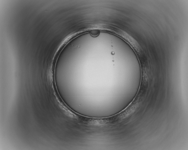 X0000113640950200909181454