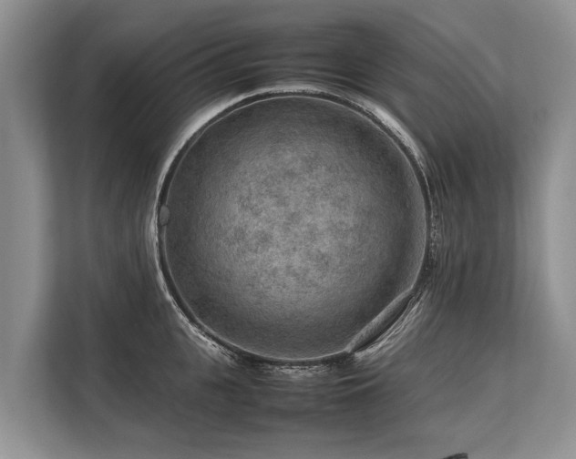 X0000113640951200909181454