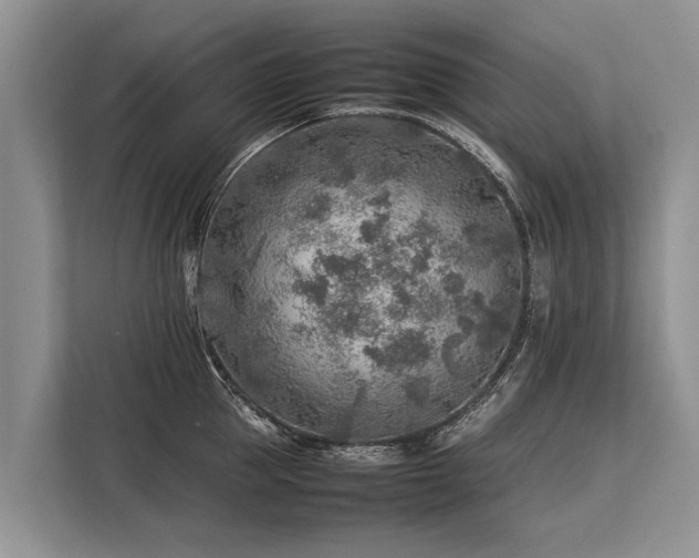 X0000113640953200909181454