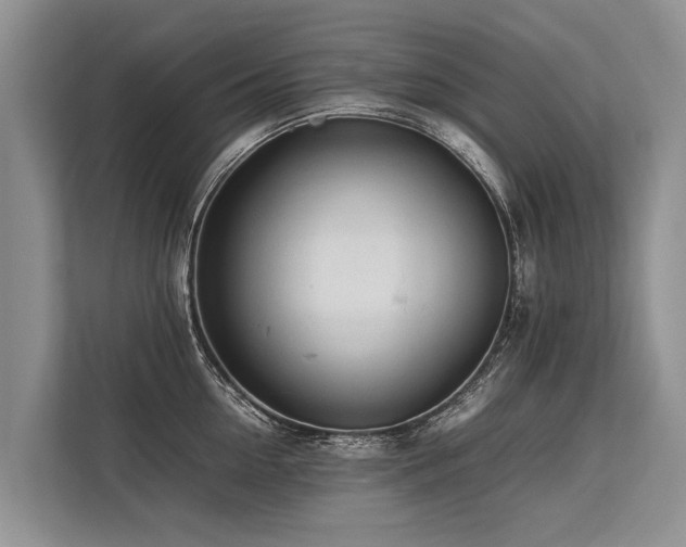 X0000113640954200909181454