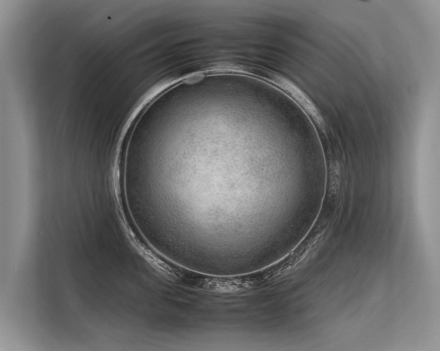 X0000113640955200909181454