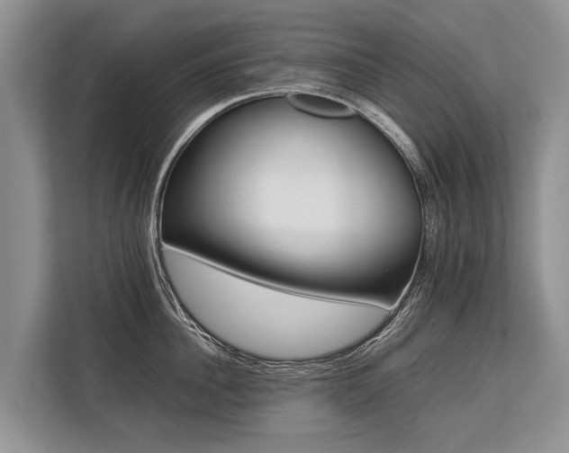 X0000113640956200909181454