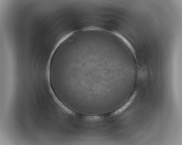 X0000113640957200909181454