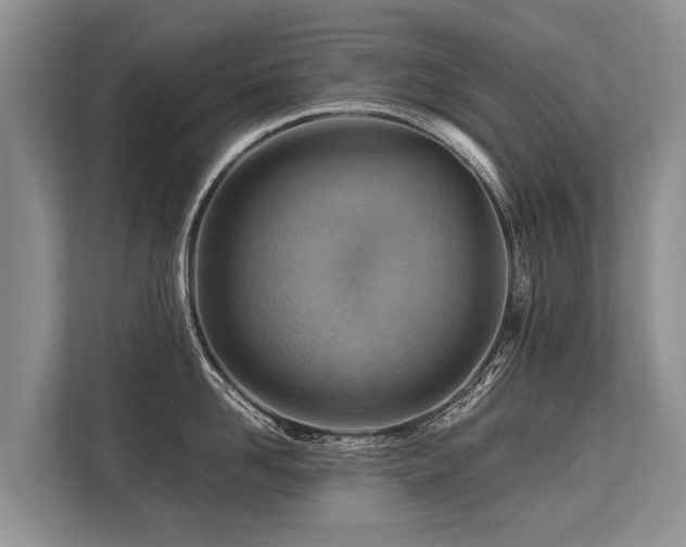 X0000113640958200909181454