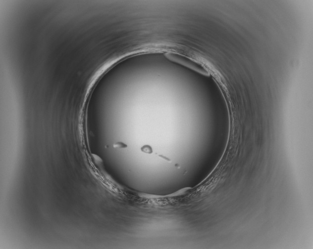 X0000113640960200909181454