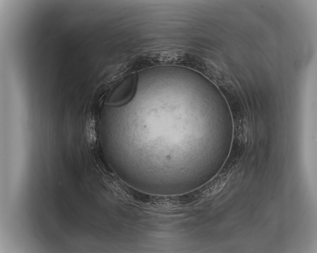 X0000113640962200909181453