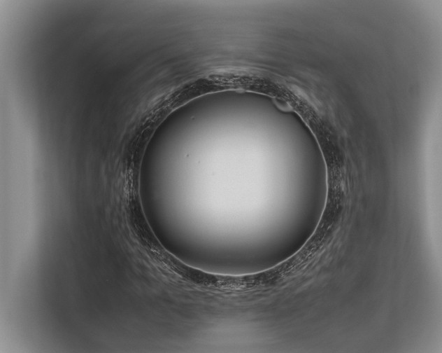 X0000113640965200909181453