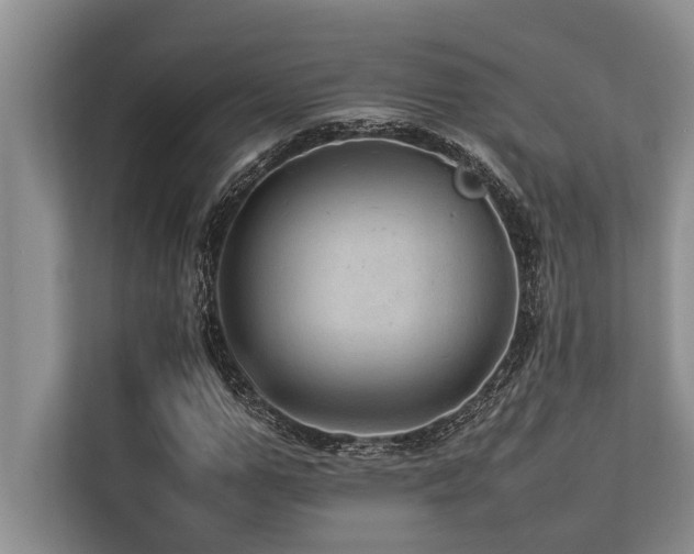 X0000113640967200909181453