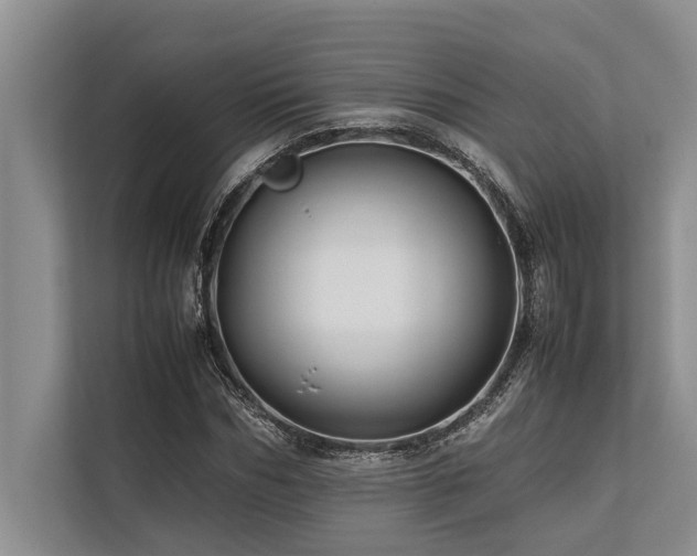 X0000113640970200909181453