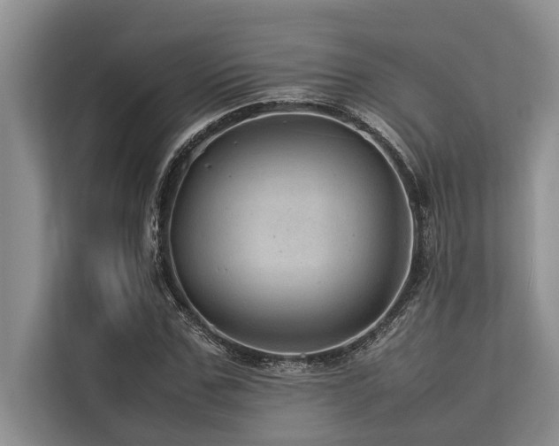 X0000113640971200909181453