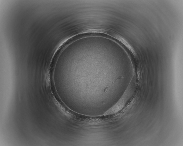 X0000113640972200909181453