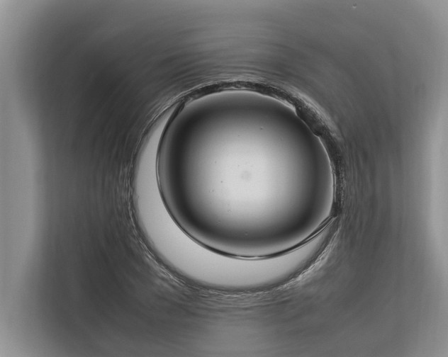 X0000113640977200909181453