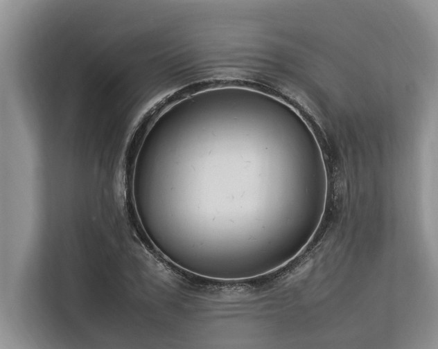 X0000113640979200909181453