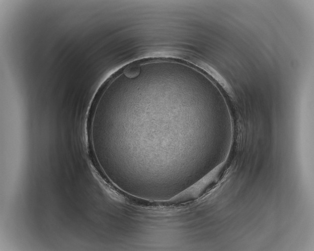 X0000113640980200909181453