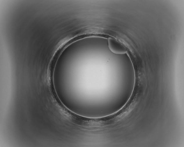 X0000113640981200909181453