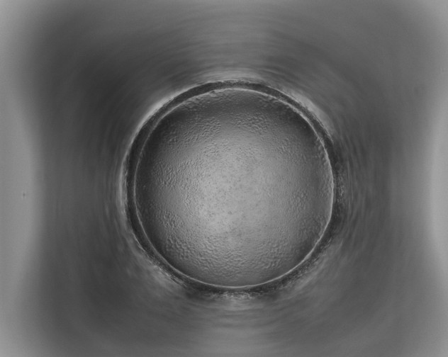 X0000113640983200909181453