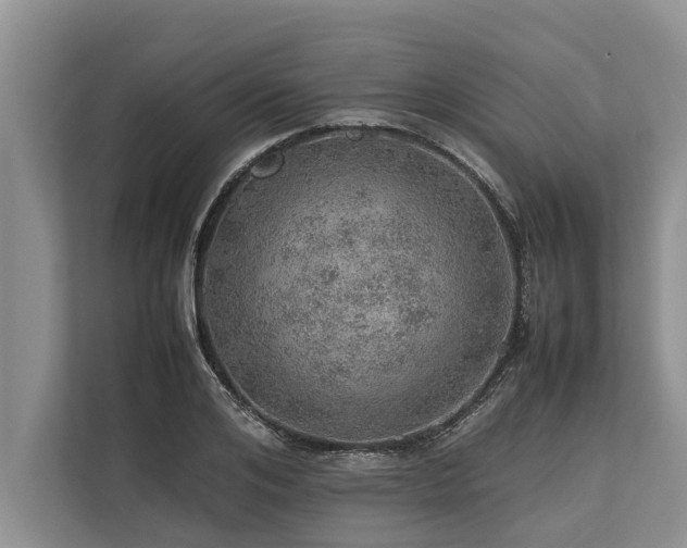 X0000113640984200909181453