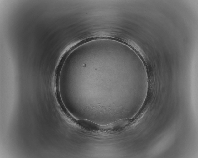 X0000113640987200909181453