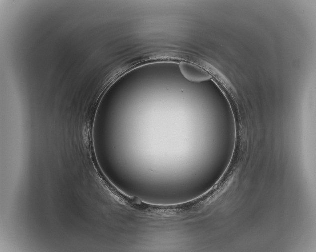 X0000113640993200909181453