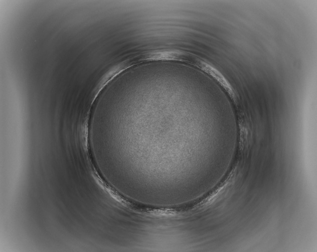 X0000113640994200909181453