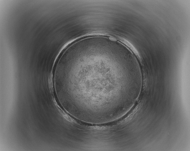 X0000113640996200909181453