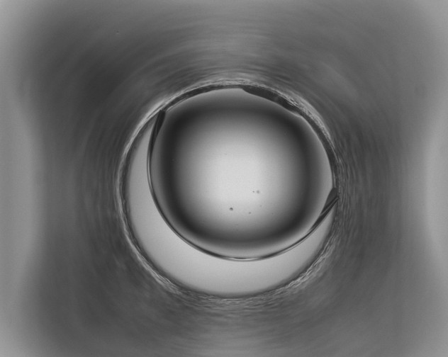 X0000113640997200909181453