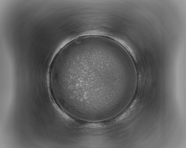 X0000113640998200909181453