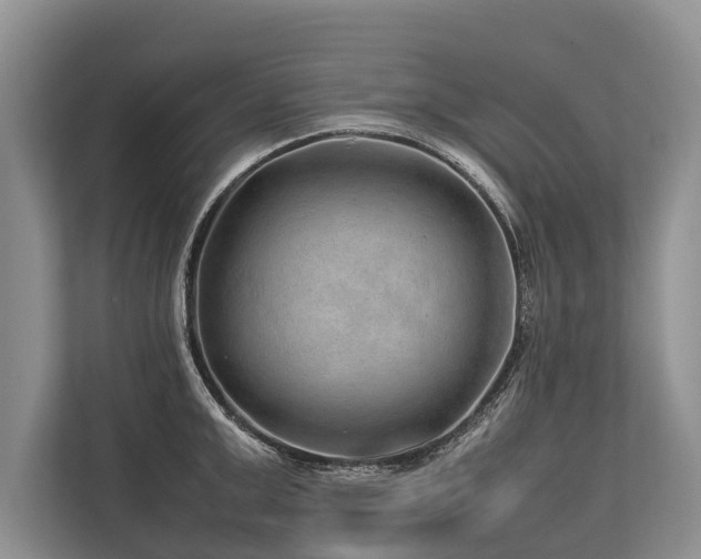 X0000113640999200909181453