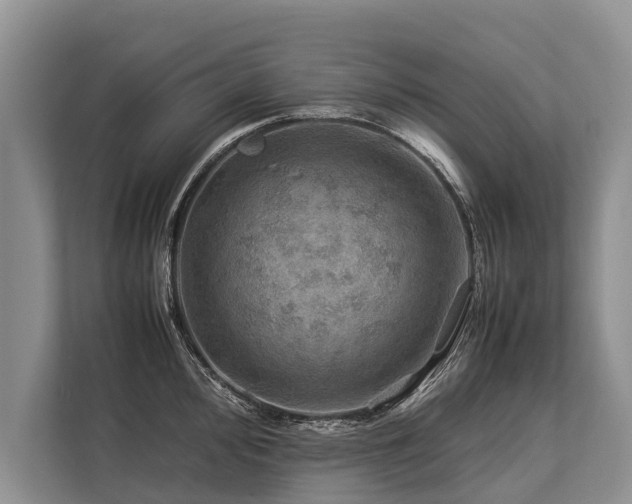 X0000113641000200909181453