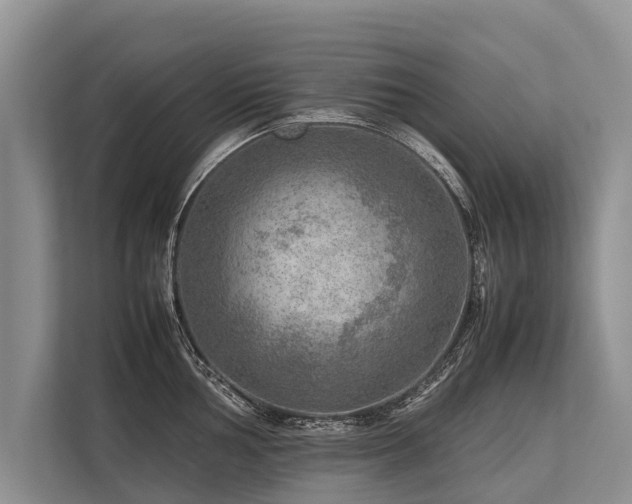 X0000113641002200909181453