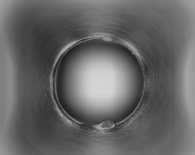 X0000113641003200909181453