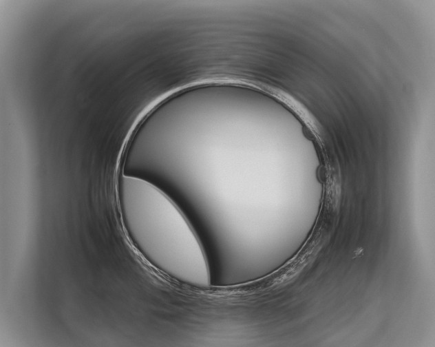 X0000113641004200909181453