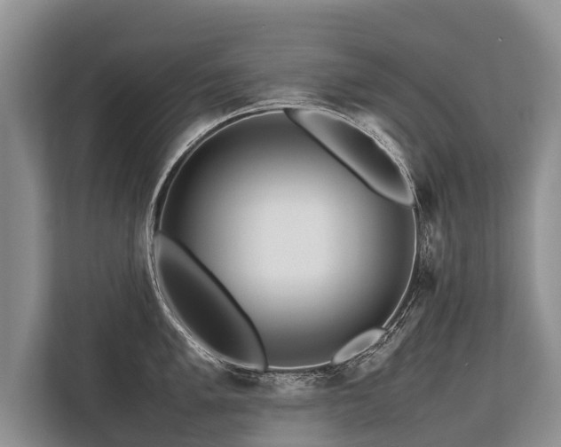 X0000113641005200909181453