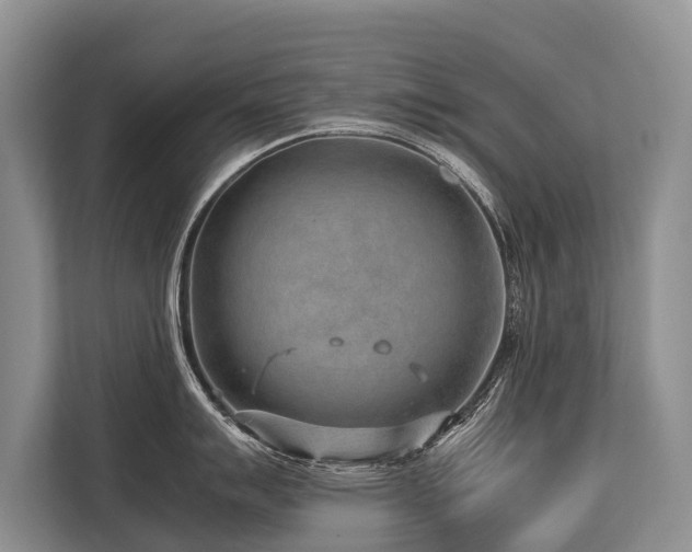 X0000113641007200909181453