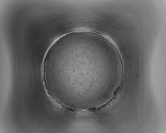 X0000113641008200909181453