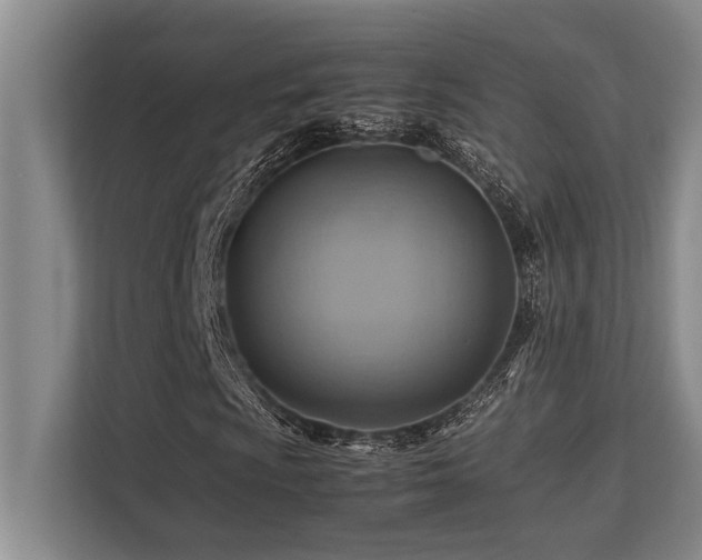 X0000113641009200909181452