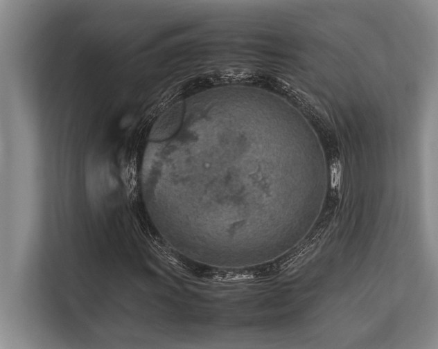 X0000113641011200909181452