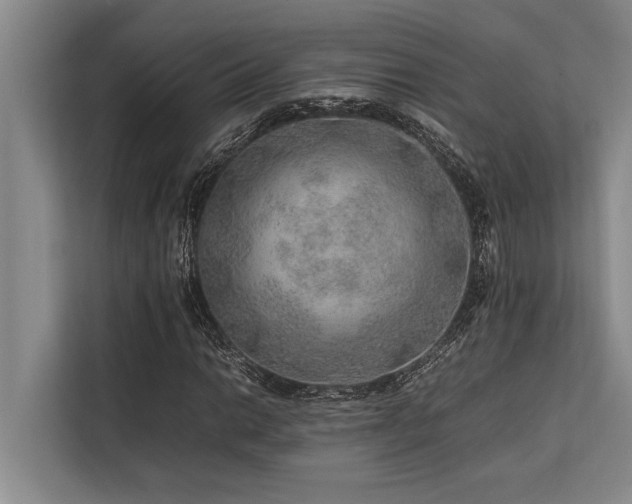 X0000113641014200909181452