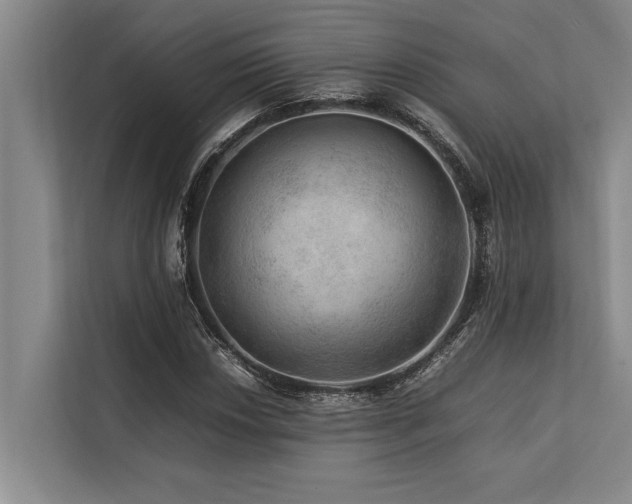 X0000113641018200909181452