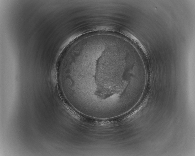 X0000113641019200909181452