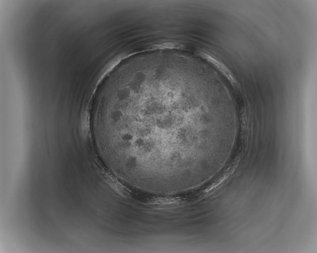 X0000113641023200909181452