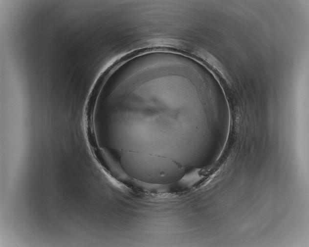 X0000113641024200909181452