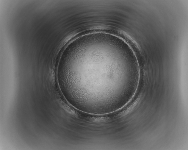 X0000113641025200909181452