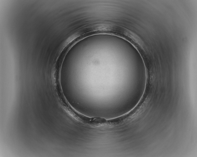 X0000113641026200909181452